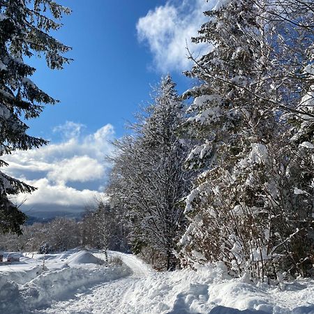 Pine Lodge Hlevci Экстерьер фото