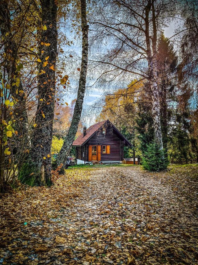 Pine Lodge Hlevci Экстерьер фото
