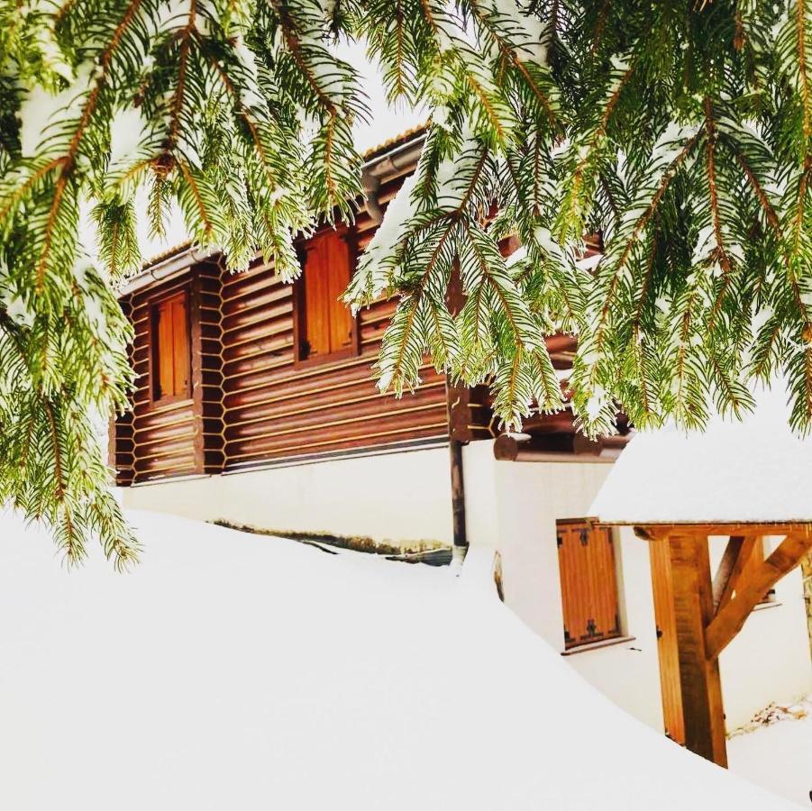 Pine Lodge Hlevci Экстерьер фото