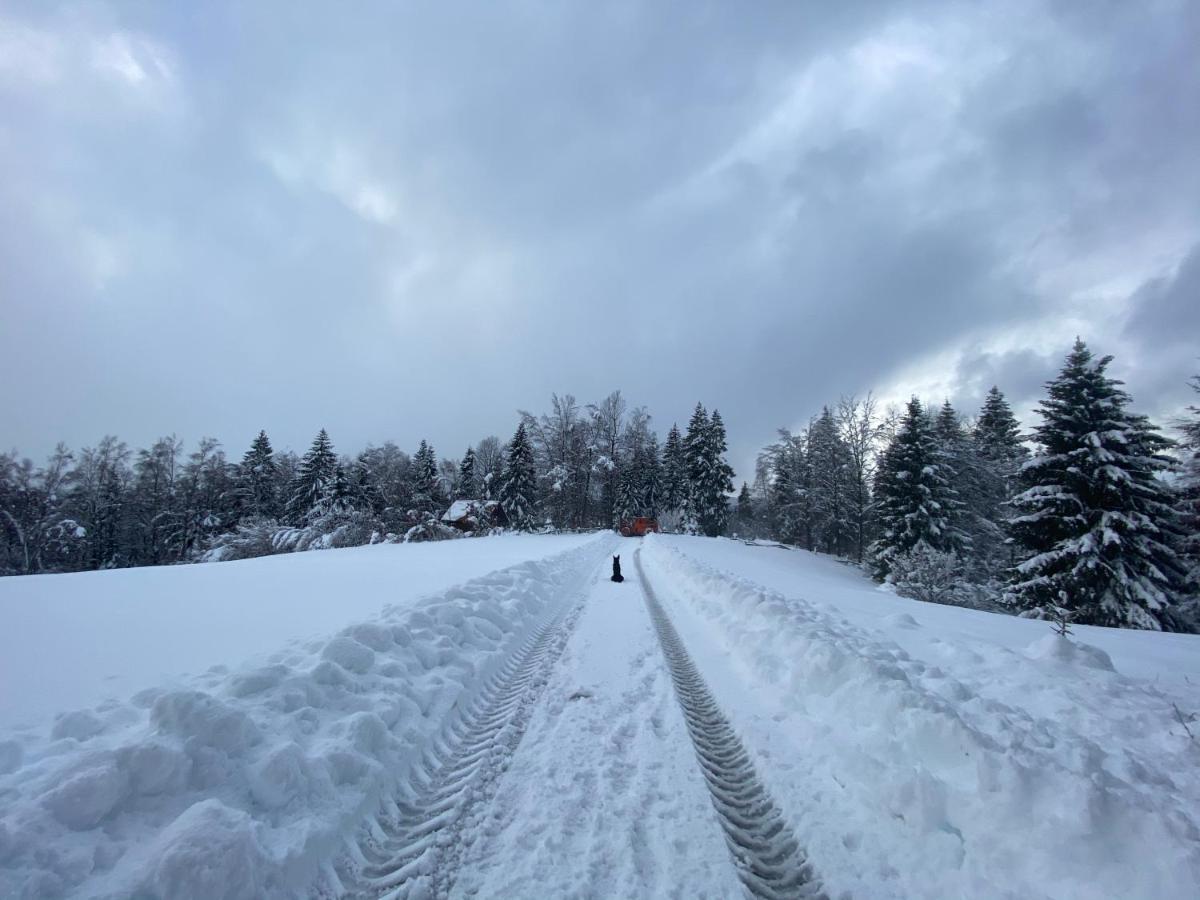 Pine Lodge Hlevci Экстерьер фото